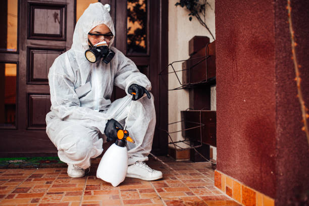 Reliable Cockroach Control contractor in Mercerville, NJ by Nex Pest Control